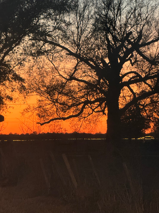 A 91 Degree Saturday in “Fall” (Welcome to Texas!)